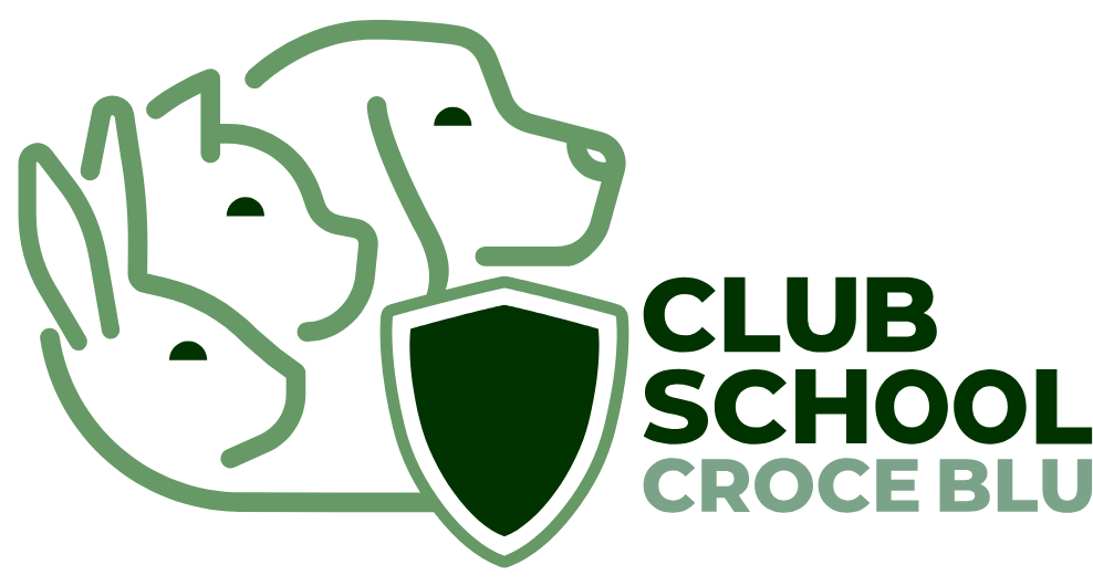 Club School